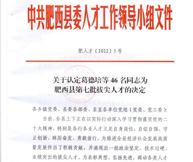 深藍(lán)醫(yī)療總經(jīng)理榮獲“肥西縣第七批拔尖人才”榮譽(yù)稱號 深藍(lán)醫(yī)療總經(jīng)理榮獲“肥西縣第七批拔尖人才”榮譽(yù)稱號